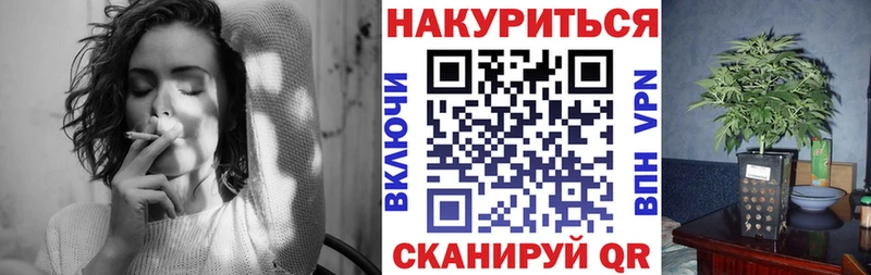 где купить   Кудрово  Бошки Шишки план 